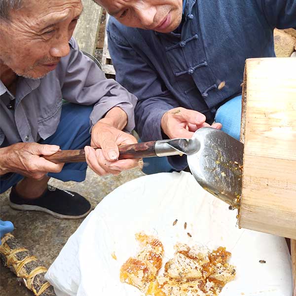 蜂农故事之82岁的程爷爷:张蜂霸是我们的希望,张蜂霸帮我卖土蜂蜜 蜂农故事之82岁的程爷爷:张蜂霸是我们的希望,张蜂霸帮我卖土蜂蜜